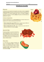 Crucigram.pdf